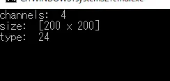 サイズ指定した Mat の channels・size・type の出力結果